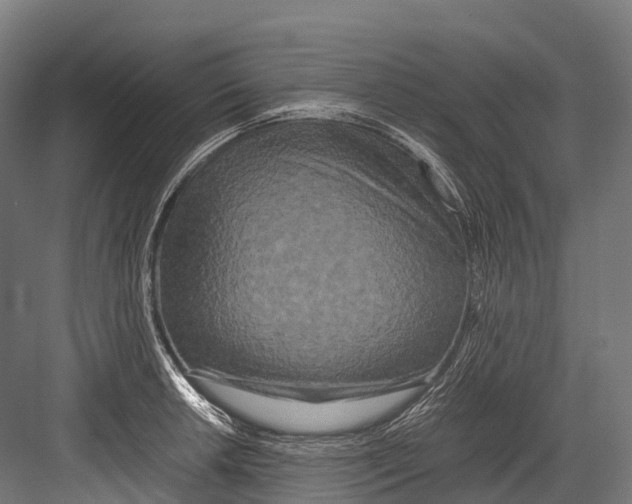 X0000081591042200702121508