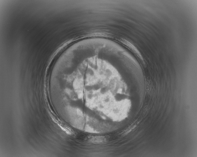 X0000081591043200702121508