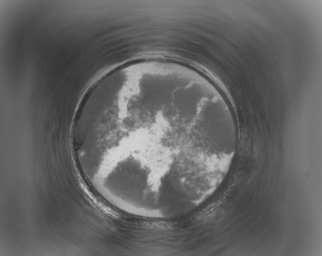 X0000081591045200702121509