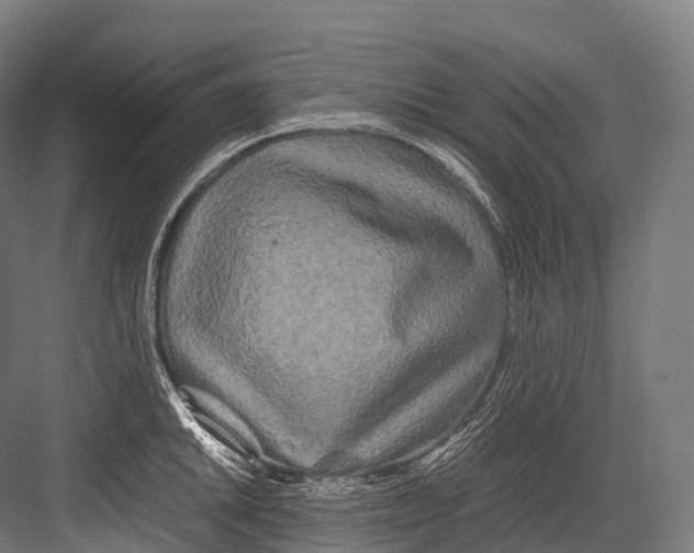 X0000081591046200702121509