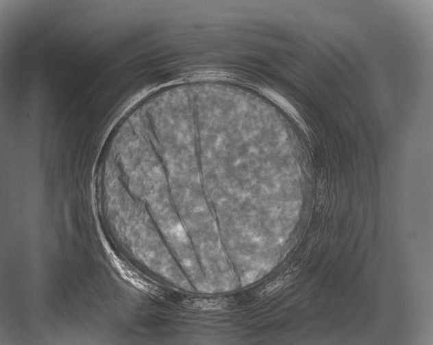 X0000081591047200702121509