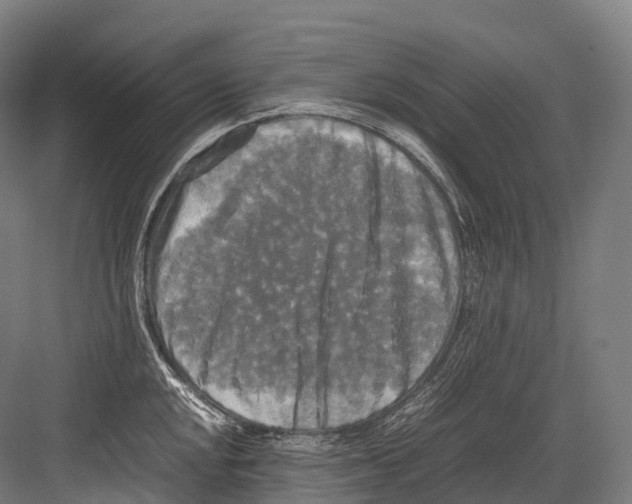 X0000081591048200702121509