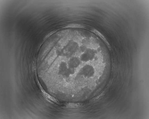 X0000081591049200702121509