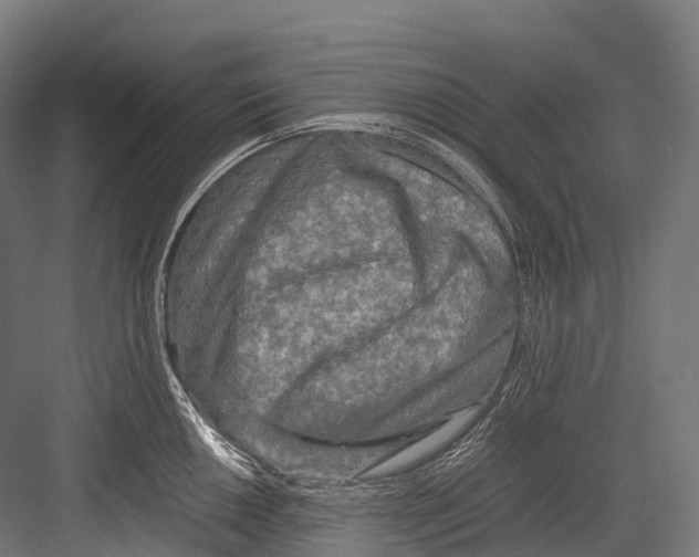 X0000081591050200702121509