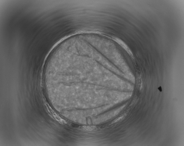 X0000081591052200702121509