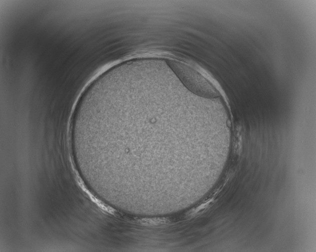 X0000081591053200702121509