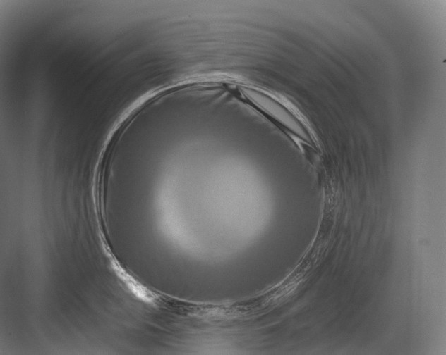 X0000081591054200702121509