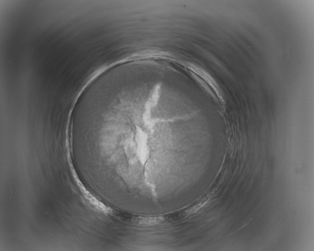 X0000081591055200702121509