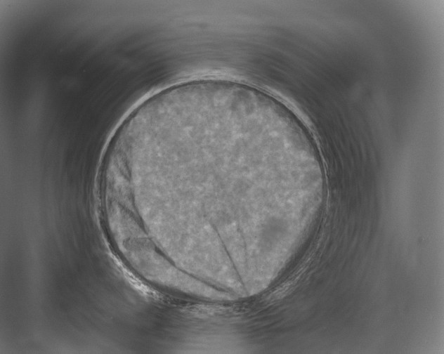 X0000081591056200702121509