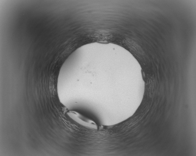 X0000081591058200702121508