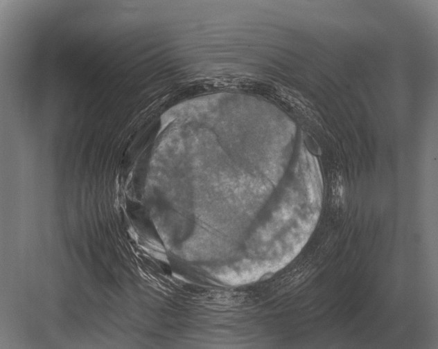 X0000081591060200702121508