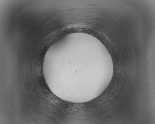 X0000081591062200702121508