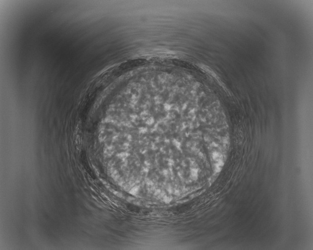 X0000081591063200702121508