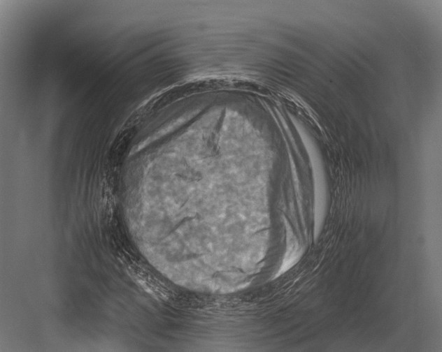 X0000081591064200702121508