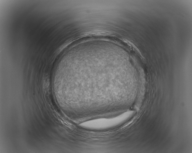 X0000081591065200702121508