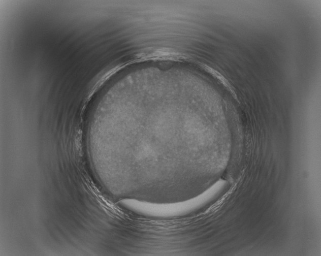 X0000081591066200702121508