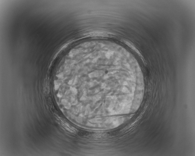 X0000081591067200702121508