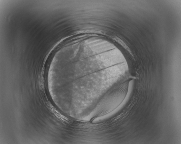 X0000081591068200702121508