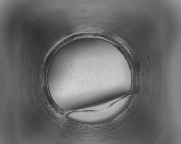 X0000081591069200702121508