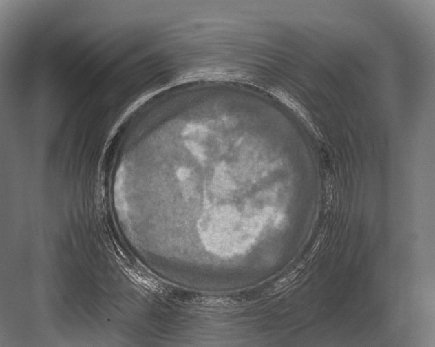 X0000081591070200702121508