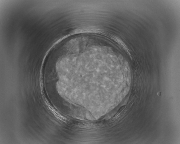 X0000081591072200702121508