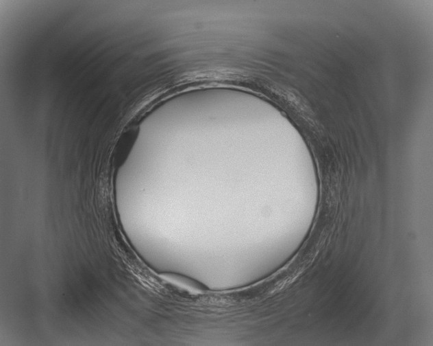 X0000081591073200702121508