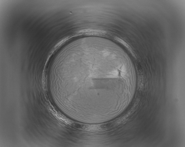 X0000081591074200702121508