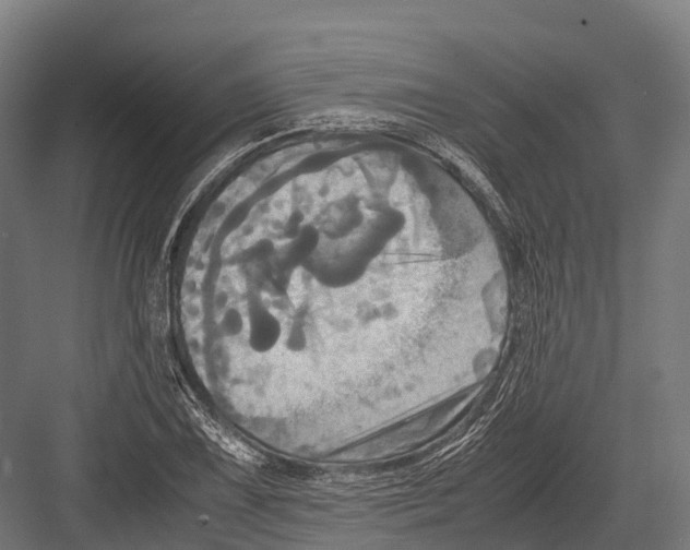 X0000081591075200702121508