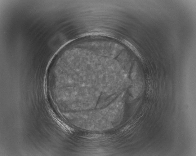 X0000081591076200702121508