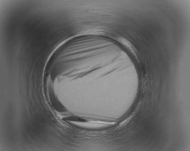 X0000081591077200702121508