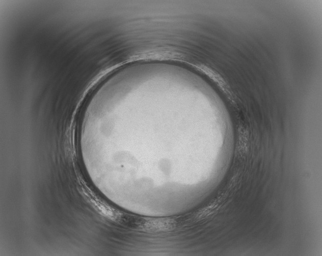 X0000081591078200702121508