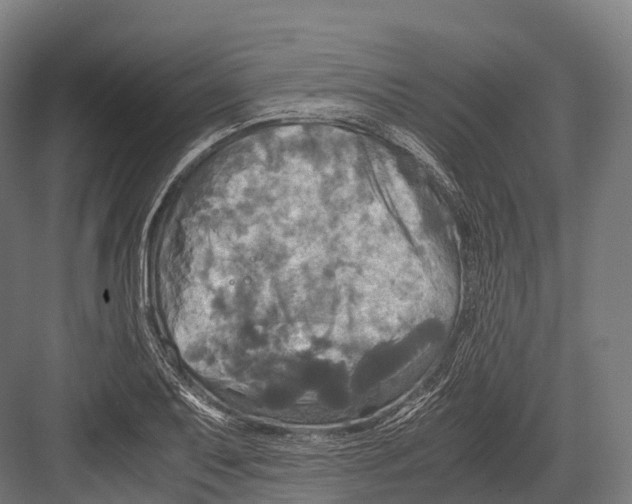 X0000081591079200702121508