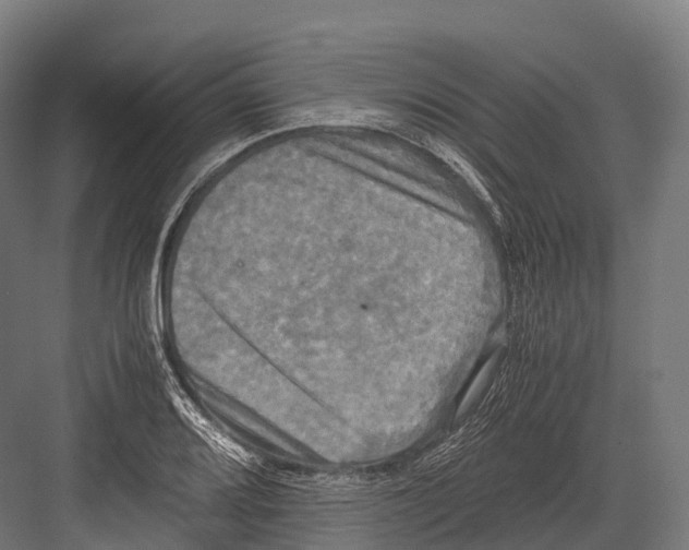 X0000081591080200702121508