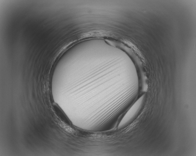 X0000081591081200702121508