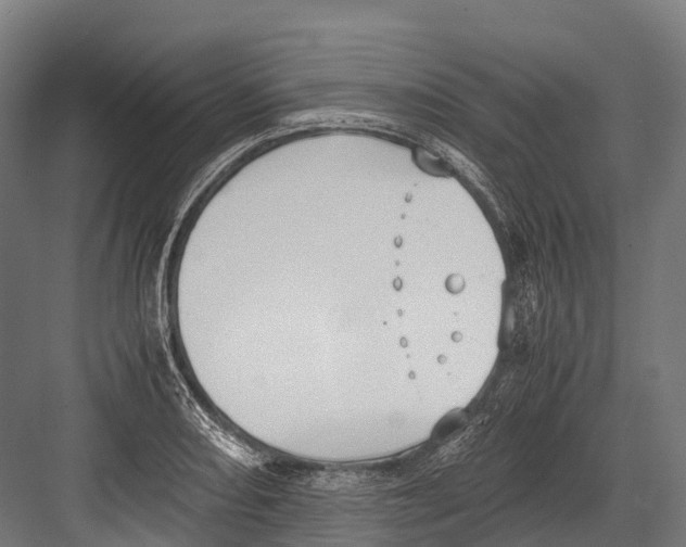 X0000081591082200702121507