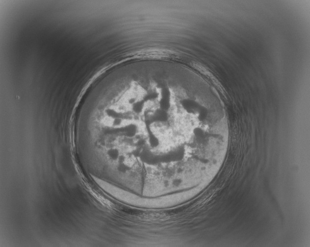 X0000081591083200702121507