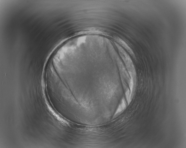 X0000081591084200702121507