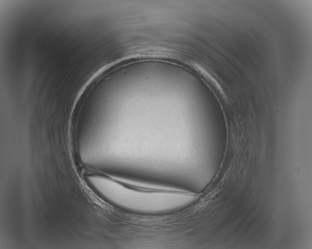 X0000081591085200702121507