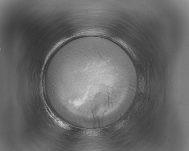 X0000081591086200702121507