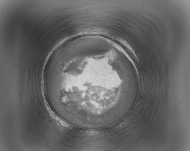 X0000081591088200702121507