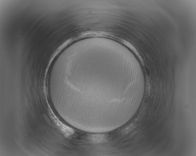 X0000081591090200702121507