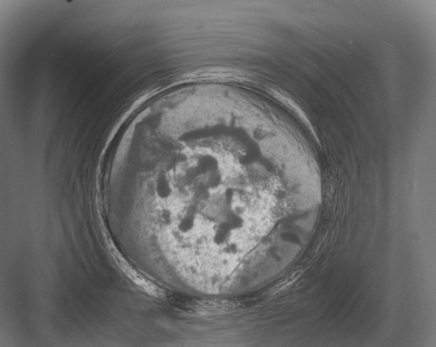 X0000081591091200702121507