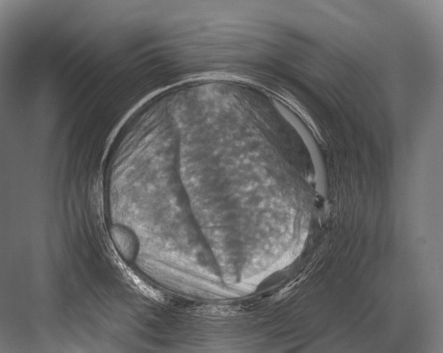 X0000081591092200702121507