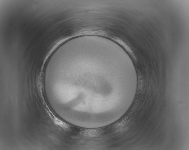 X0000081591094200702121507