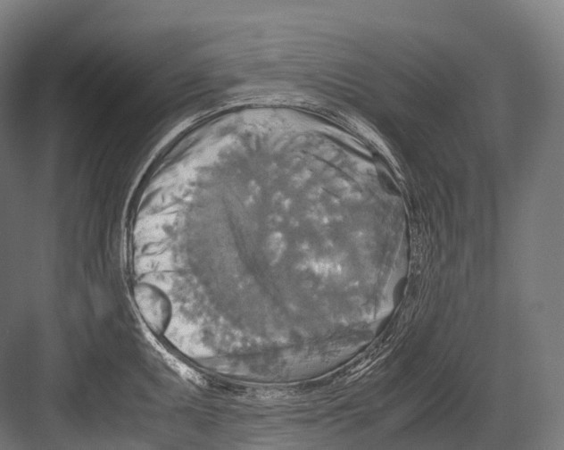 X0000081591095200702121507