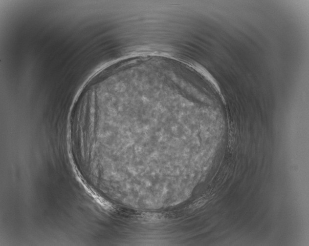 X0000081591096200702121507