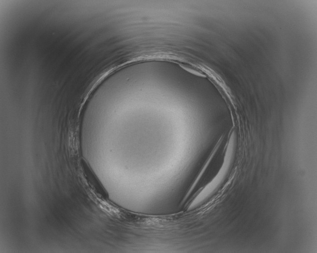 X0000081591097200702121507