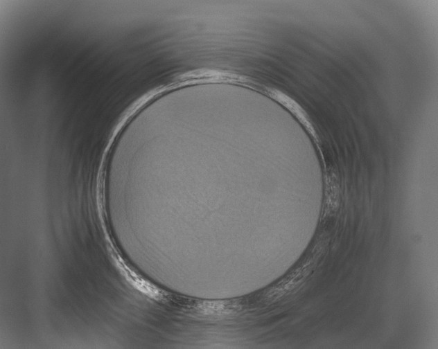 X0000081591098200702121507