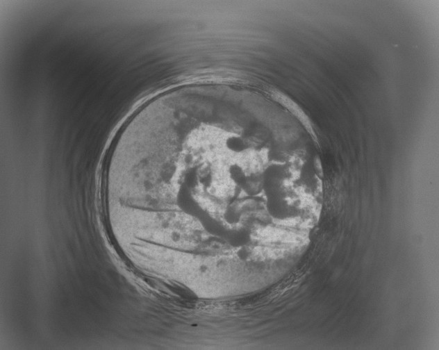 X0000081591099200702121507