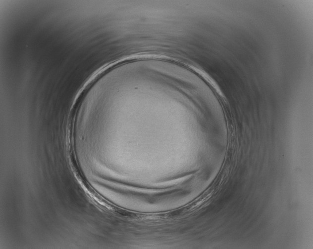 X0000081591101200702121507